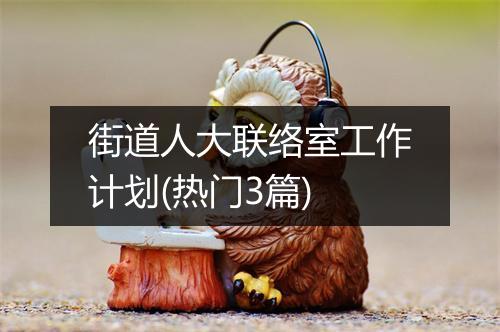 街道人大联络室工作计划(热门3篇)