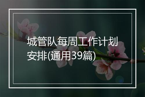 城管队每周工作计划安排(通用39篇)
