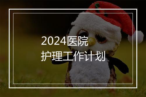 2024医院护理工作计划