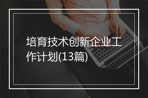 培育技术创新企业工作计划(13篇)