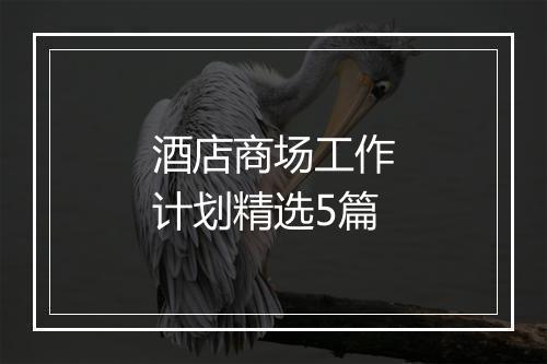 酒店商场工作计划精选5篇