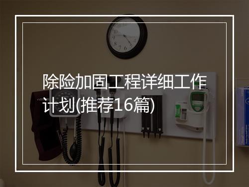 除险加固工程详细工作计划(推荐16篇)