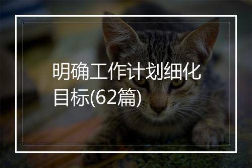 明确工作计划细化目标(62篇)