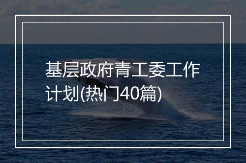 基层政府青工委工作计划(热门40篇)