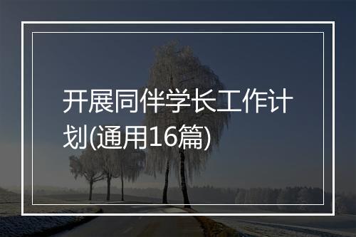 开展同伴学长工作计划(通用16篇)