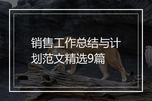 销售工作总结与计划范文精选9篇