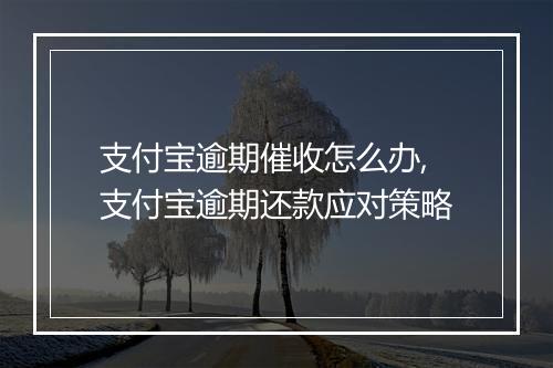 支付宝逾期催收怎么办,支付宝逾期还款应对策略