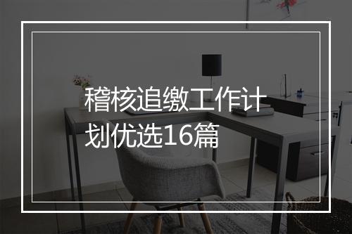 稽核追缴工作计划优选16篇