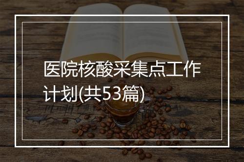 医院核酸采集点工作计划(共53篇)