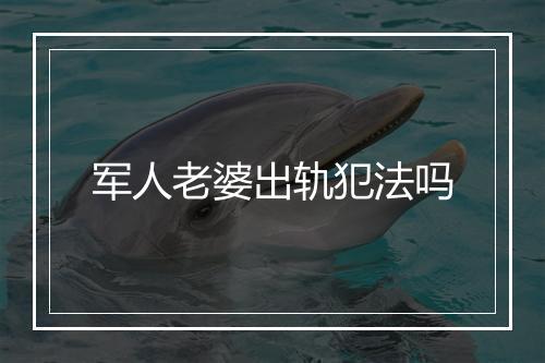 军人老婆出轨犯法吗