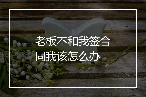 老板不和我签合同我该怎么办