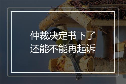 仲裁决定书下了还能不能再起诉