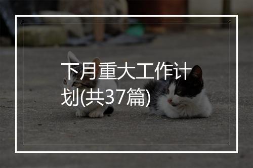 下月重大工作计划(共37篇)