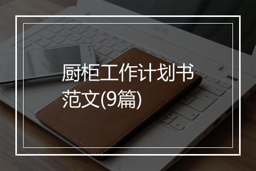厨柜工作计划书范文(9篇)
