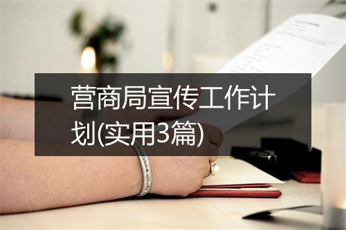 营商局宣传工作计划(实用3篇)