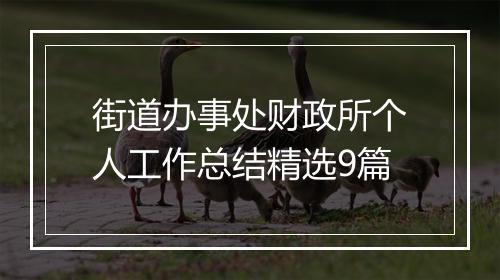 街道办事处财政所个人工作总结精选9篇