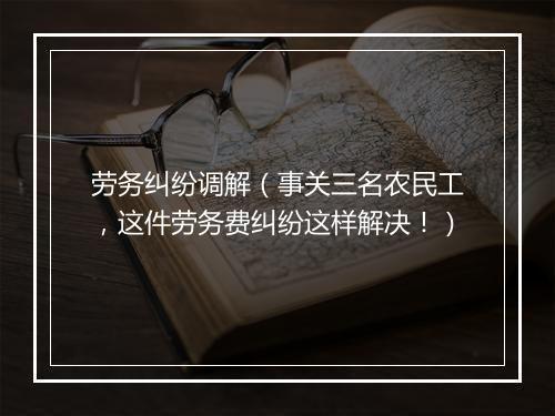 劳务纠纷调解（事关三名农民工，这件劳务费纠纷这样解决！）