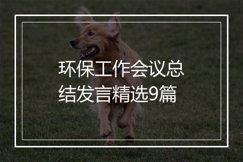 环保工作会议总结发言精选9篇