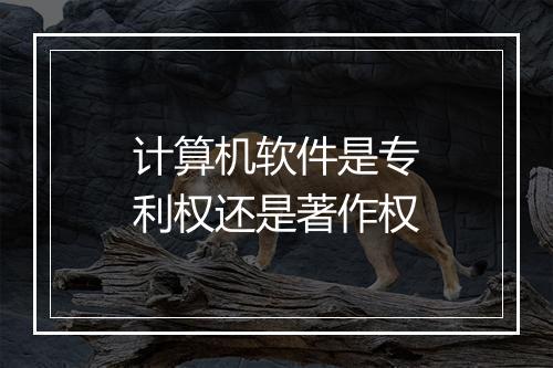 计算机软件是专利权还是著作权