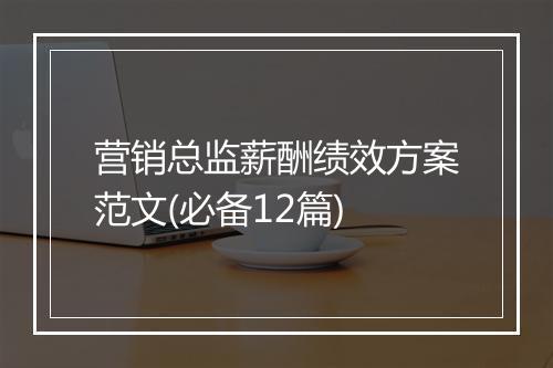 营销总监薪酬绩效方案范文(必备12篇)