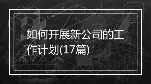 如何开展新公司的工作计划(17篇)