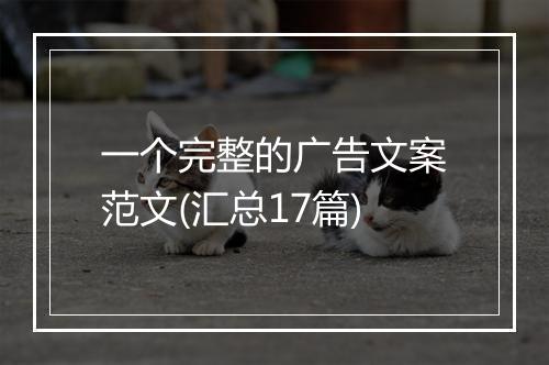 一个完整的广告文案范文(汇总17篇)