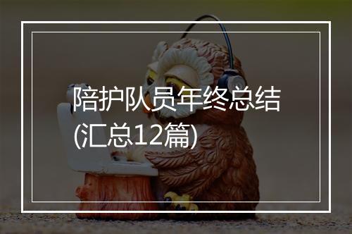 陪护队员年终总结(汇总12篇)