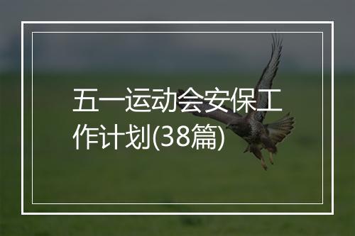 五一运动会安保工作计划(38篇)