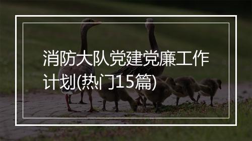 消防大队党建党廉工作计划(热门15篇)
