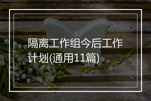 隔离工作组今后工作计划(通用11篇)