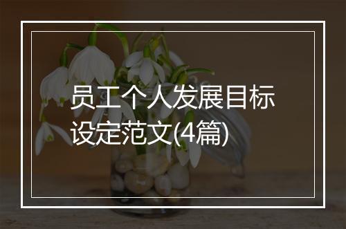 员工个人发展目标设定范文(4篇)