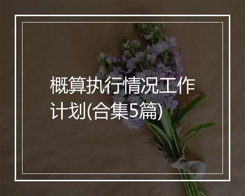概算执行情况工作计划(合集5篇)