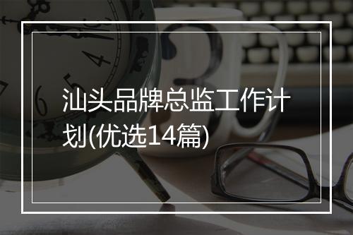 汕头品牌总监工作计划(优选14篇)