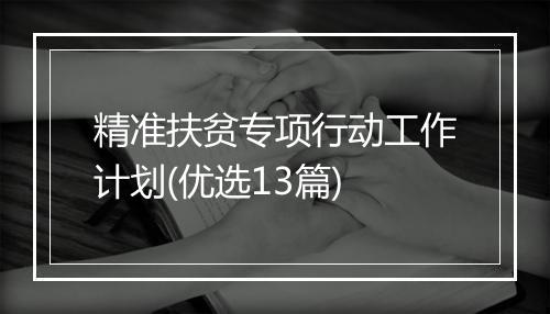 精准扶贫专项行动工作计划(优选13篇)