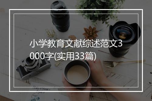 小学教育文献综述范文3000字(实用33篇)