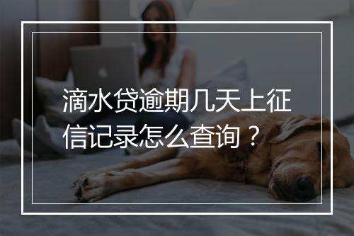 滴水贷逾期几天上征信记录怎么查询？