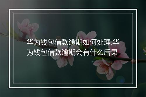 华为钱包借款逾期如何处理,华为钱包借款逾期会有什么后果