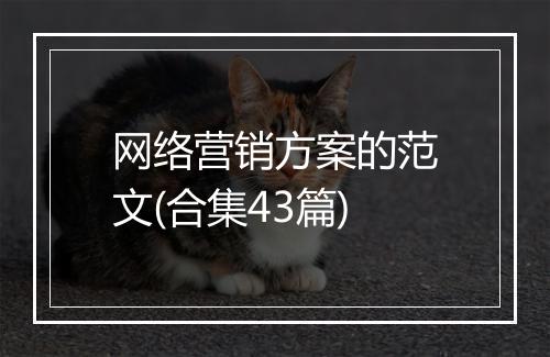 网络营销方案的范文(合集43篇)