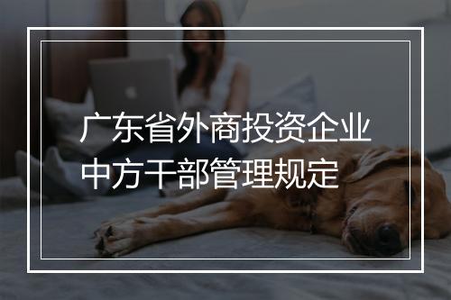 广东省外商投资企业中方干部管理规定