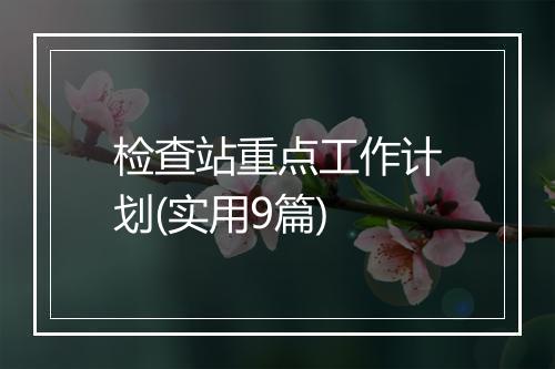 检查站重点工作计划(实用9篇)
