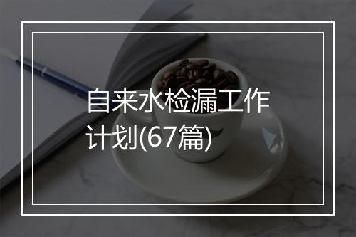 自来水检漏工作计划(67篇)