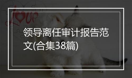 领导离任审计报告范文(合集38篇)
