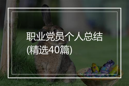 职业党员个人总结(精选40篇)