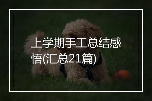 上学期手工总结感悟(汇总21篇)
