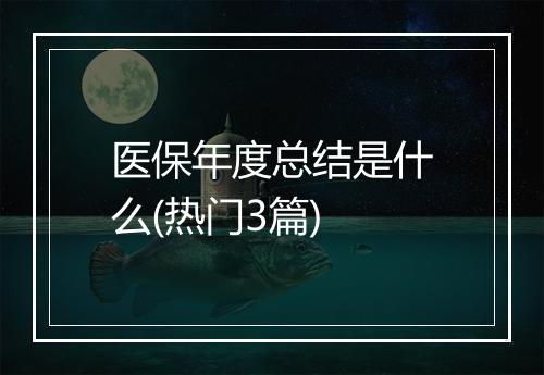 医保年度总结是什么(热门3篇)