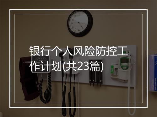 银行个人风险防控工作计划(共23篇)
