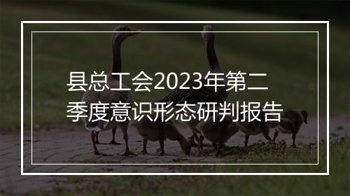 县总工会2023年第二季度意识形态研判报告