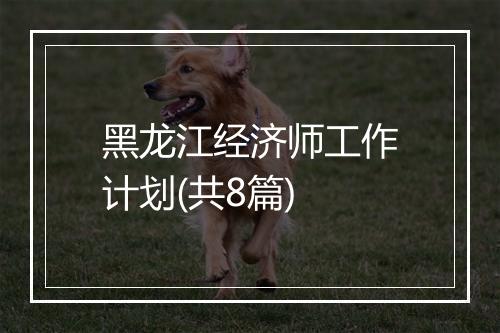 黑龙江经济师工作计划(共8篇)