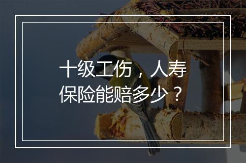 十级工伤，人寿保险能赔多少？