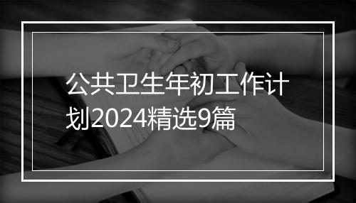 公共卫生年初工作计划2024精选9篇